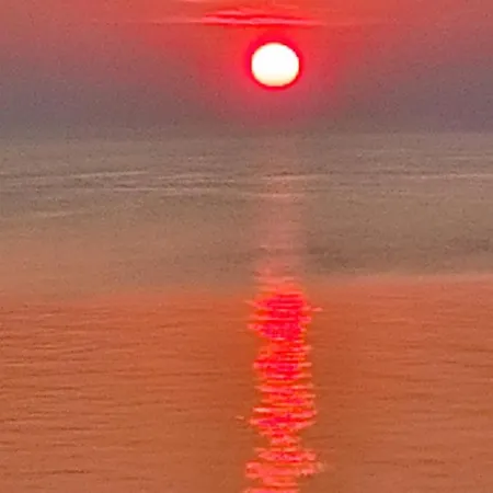 Tecza Apartment Rewal